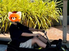 -圣淘沙天际线斜坡滑车