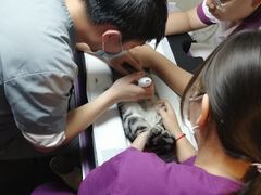 -宠爱国际动物医院·消化内科·心肾内科·ISFM猫友好(望京店)
