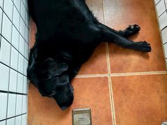 -乡亲鹅肉城(吴江店)