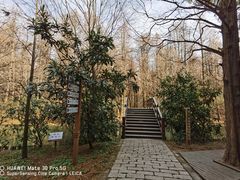 -同里国家湿地公园