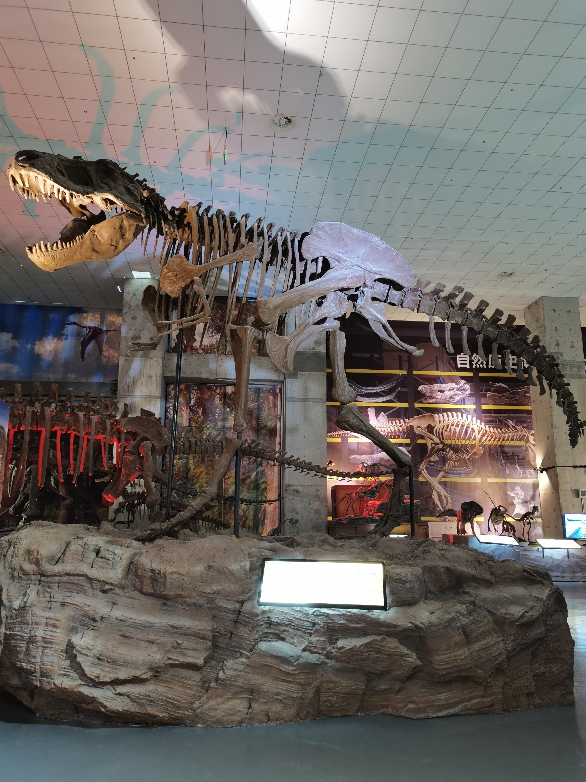 山东大学青岛校区博物馆恐龙馆,去过了