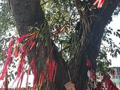 -尧坝古镇