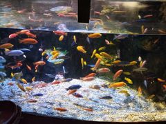 -太平洋海底世界