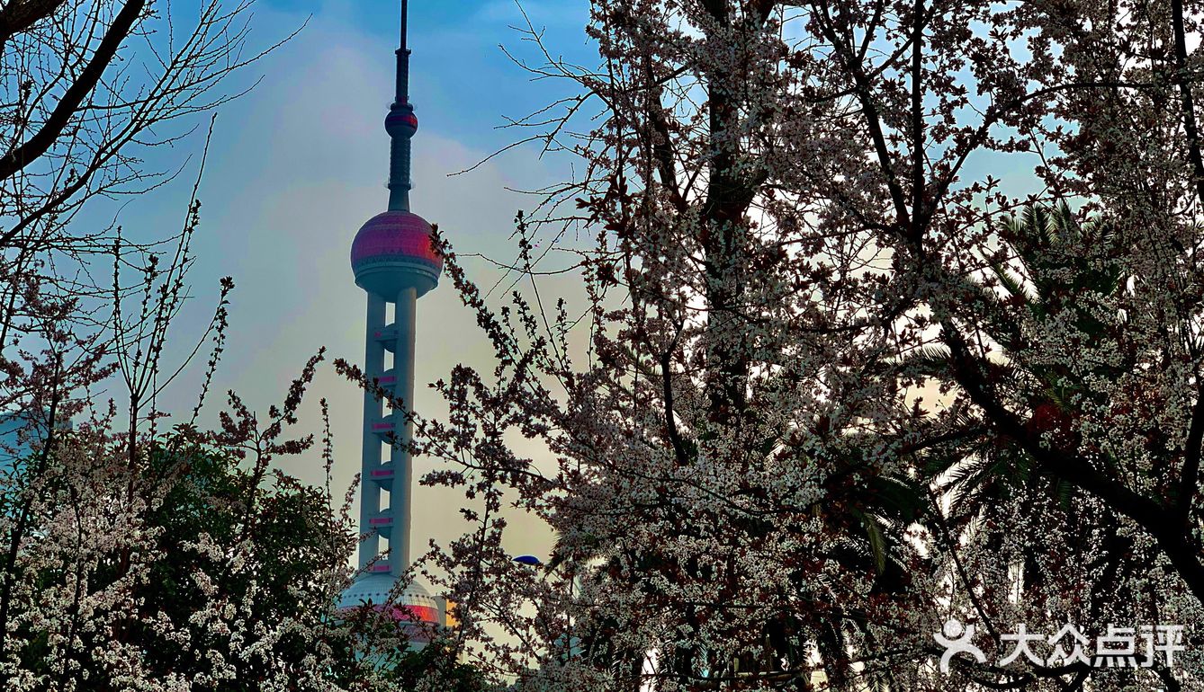 百花齐放