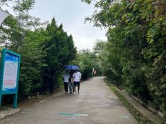 -府君山公园