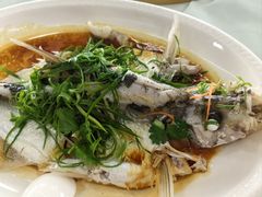 -八仔大富楼·河鲜(西江店)