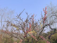 -徂徕山森林康养度假谷温泉