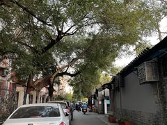 -丽江庭院之爱在路上(西单店)