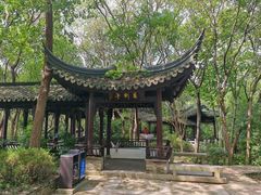 -上海佘山国家森林公园天马山园