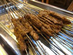 -福苗小骆驼烧烤(莲湖路店)