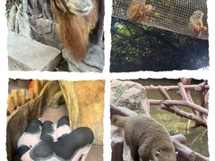 -长鹿旅游休博园