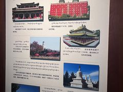 -青海藏文化博物院