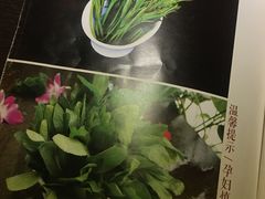 -滇釜火锅·能喝汤的火锅(车公庄店)