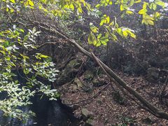 -昆明青龙峡风景区