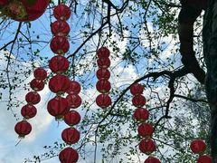 -深圳仙湖植物园