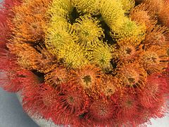 -南通洲际绿博园