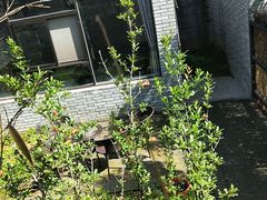 -长安上水缘度假庄园