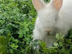 -伴山茶苑·围炉煮茶