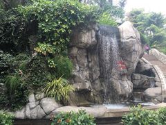 -九龙公园