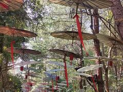 -天河潭旅游度假区