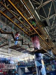 -爱丽丝奇幻乐园