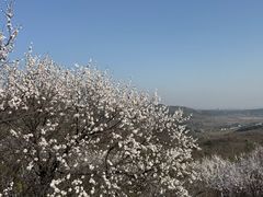 -棋盘山风景区