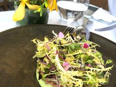 和牛塔塔-蝶舍·MAISON PAPILLON