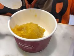 -哈根达斯(龙湖时代天街店)