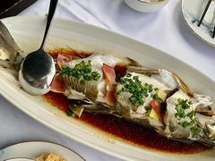 白水鱼-柳莺湖上·湖景餐厅·江南菜(西湖店)