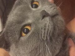 -上海国际音乐村