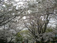 -江南大学(蠡湖校区)