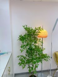 -变美丽半永久纹眉连锁·机器野生眉·洗眉