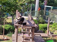 -大连森林动物园