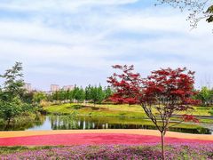-眉山湿地公园(东坡区)