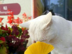 -馅老满·生春阁(慕田峪店)