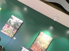 -烹然四季椰子鸡火锅(姚家园万象汇店)