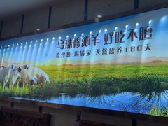 -313羊庄鲜羊火锅·鲜羊肉烧烤(李村店)