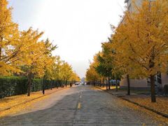 -四川大学(江安校区)