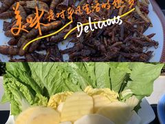 -野菌皇海景野生菌火锅(滨海大道店)