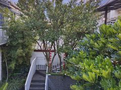 -阿鹏故事云南野生菌火锅(人民路店)