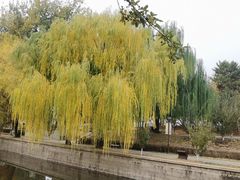 -元大都城垣遗址公园