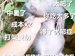 -超市发超市(学院路店)