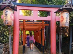 -上野公园花园稻荷神社(忍岡稲荷神社)