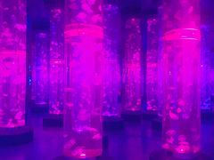 -梦幻海洋王国(吾悦广场张家港店)