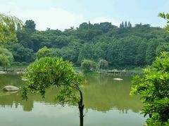 picture-厦门悦华酒店
