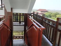-大湾区中央湿地公园