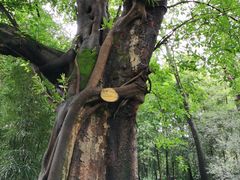 -成都杜甫草堂博物馆