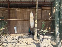 -西双版纳总佛寺