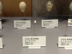 -天津自然博物馆
