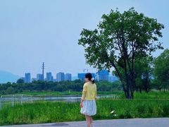 -永定河休闲森林公园